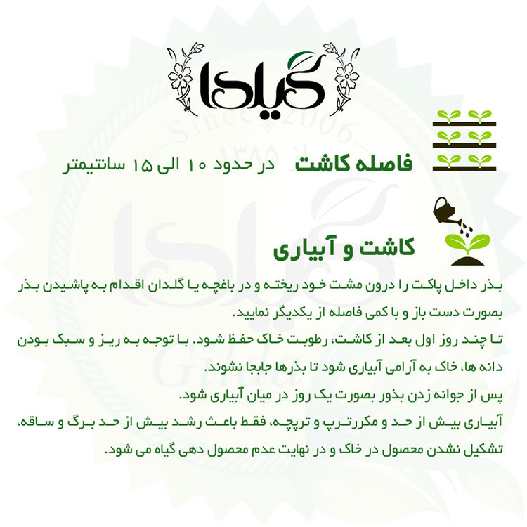 بذر سبزی خوردن گیلدا کد 097 مجموعه 10 عددی