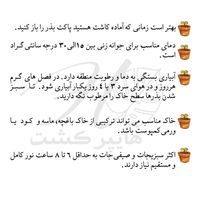 بذر سبزیجات خوراکی گرین سیدز کد 2003 مجموعه 8 عددی