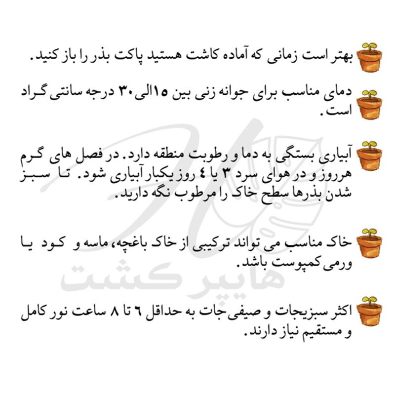 بذر سبزیجات گرین سیدز کد 2005 مجموعه 10 عددی