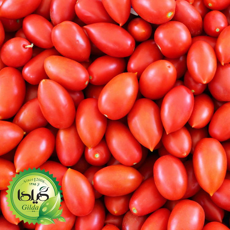 بذر گوجه گیلدا کد 096 مجموعه 8 عددی