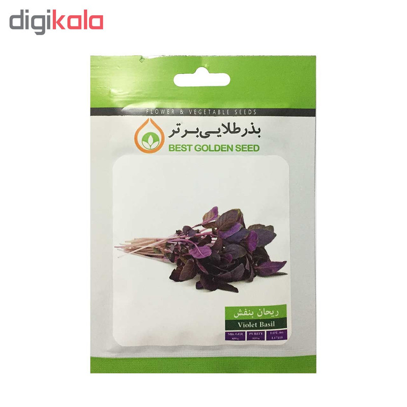 بذر ریحان بنفش بذر طلایی برتر کد BZT-94