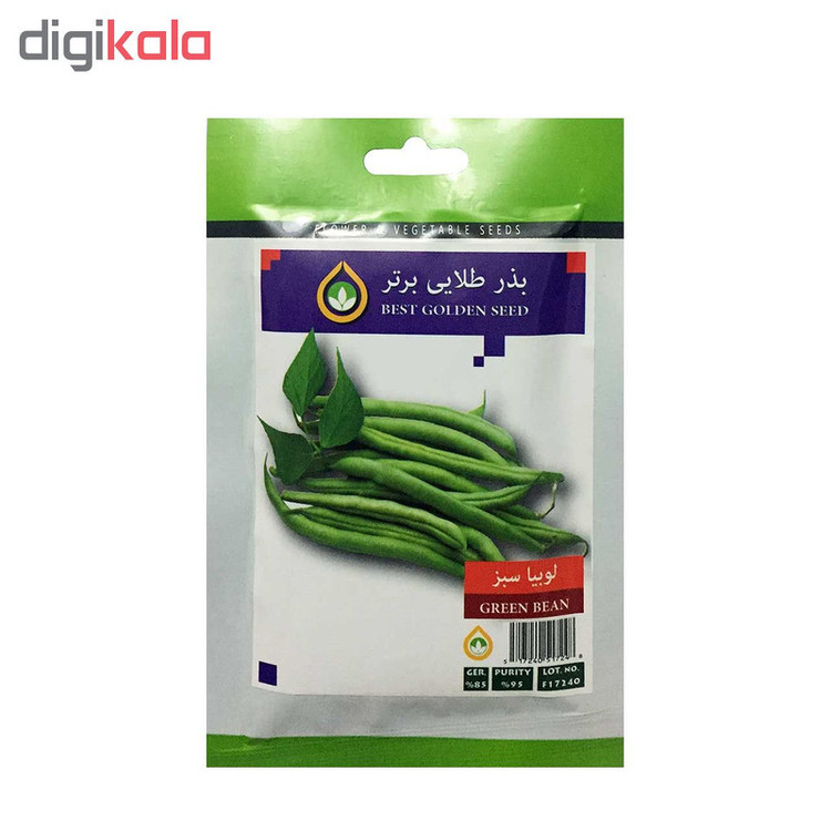 بذر لوبیا سبز بذر طلایی برتر کد BZT-82