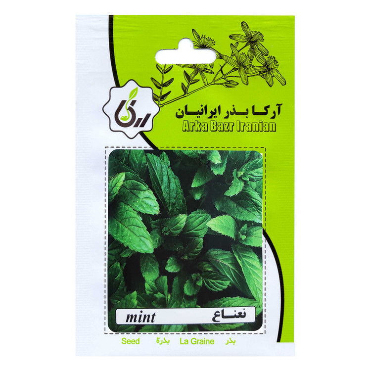 بذر نعناع و نعناع فلفلی آرکا بذر ایرانیان کد ARK-A-ARK-02 وزن 20 گرم مجموعه 2 عددی