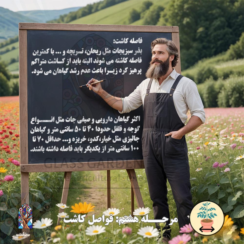 بذر بامیه قرمز کبود گلس گاردن مدل GL05