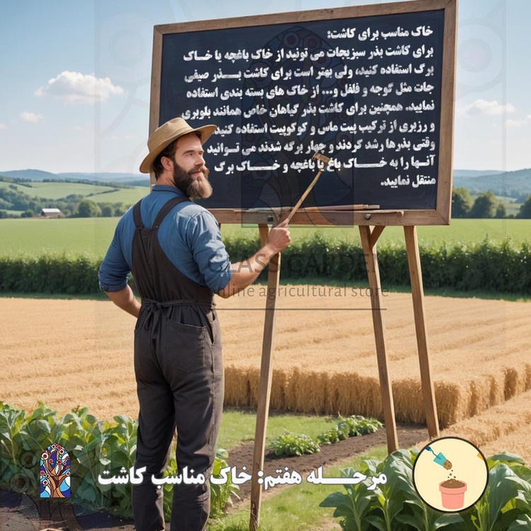 بذر بامیه قرمز کبود گلس گاردن مدل GL05