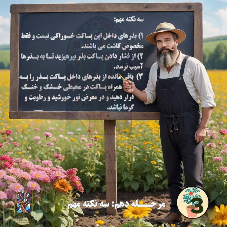 بذر بامیه قرمز کبود گلس گاردن مدل GL05