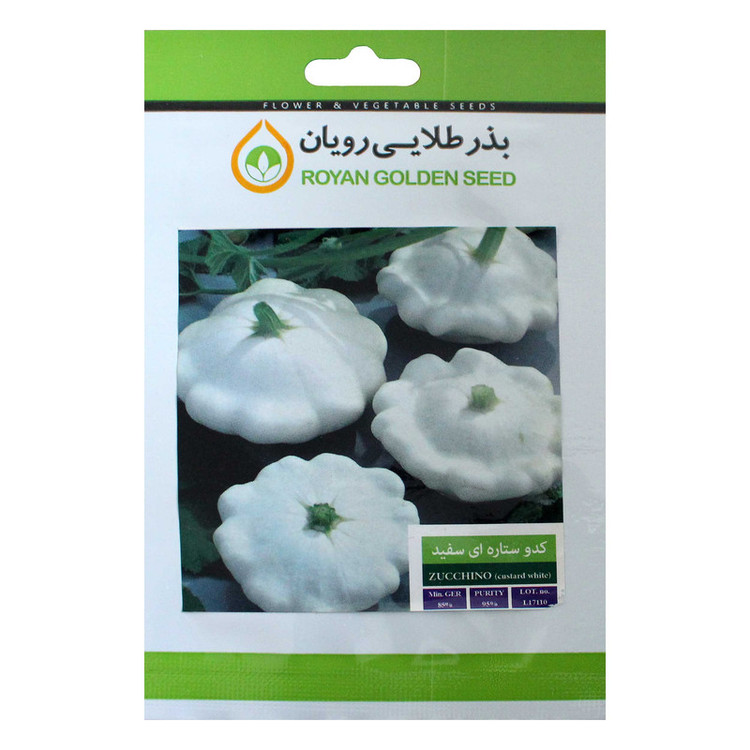 بذر کدو ستاره ای سفید بذر طلایی رویان کد BZT-138