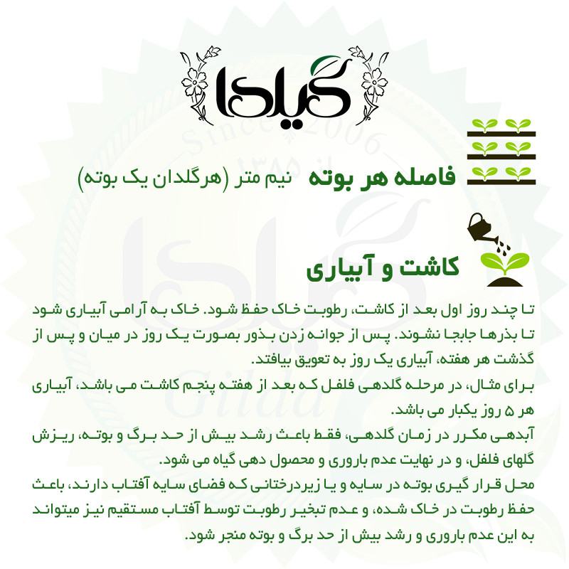 بذر فلفل تند سوزنی گیلدا کد 358