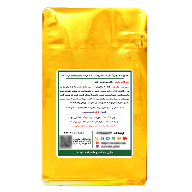 بذر چمن خارجی اسپرت چهار تخم ظرافت مدل BZ9663