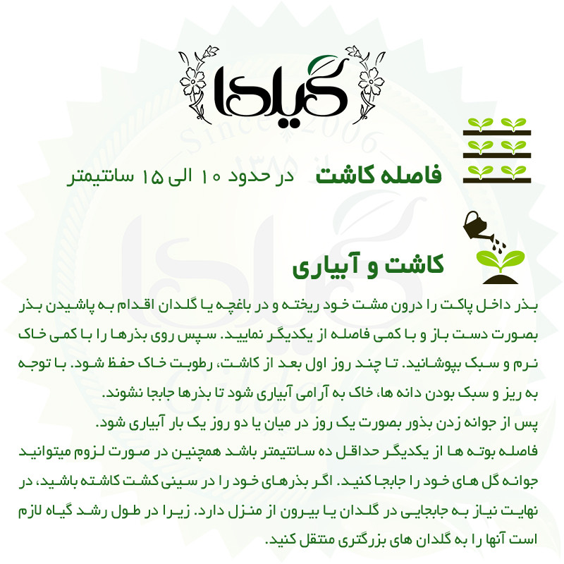 بذر کوکب پرگل گیلدا کد 862