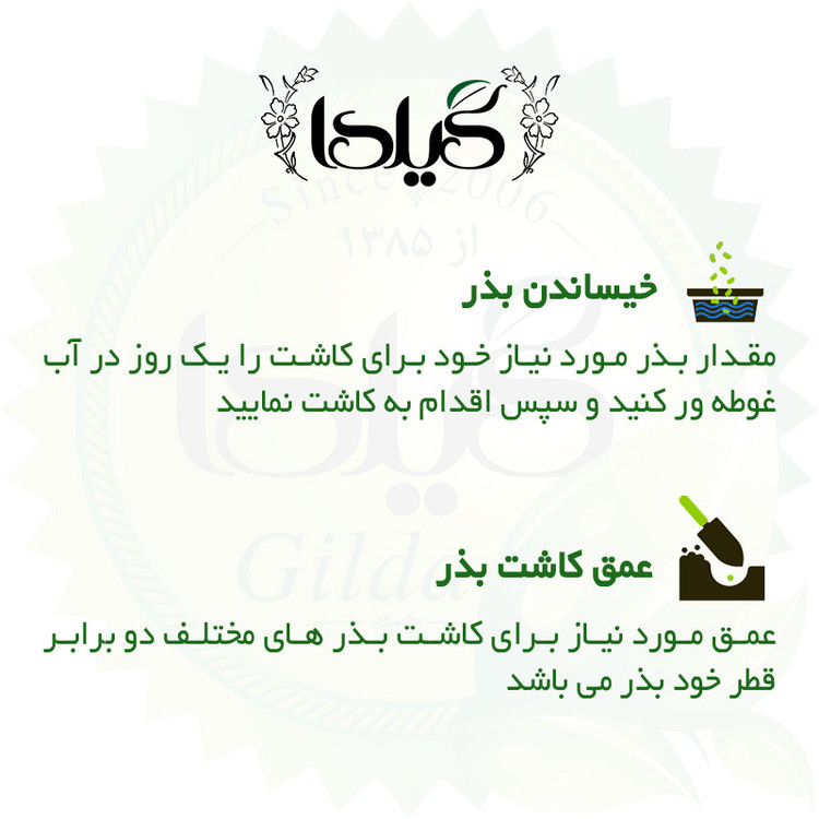 بذر هندوانه دیمی گیلدا کد 713