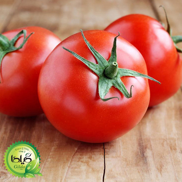 بذر گوجه سوپر کوئین گیلدا کد 559