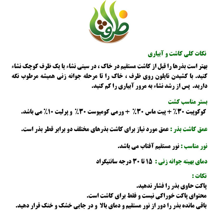 بذر طالبی سمسوری ظرافت مدل BZ2179