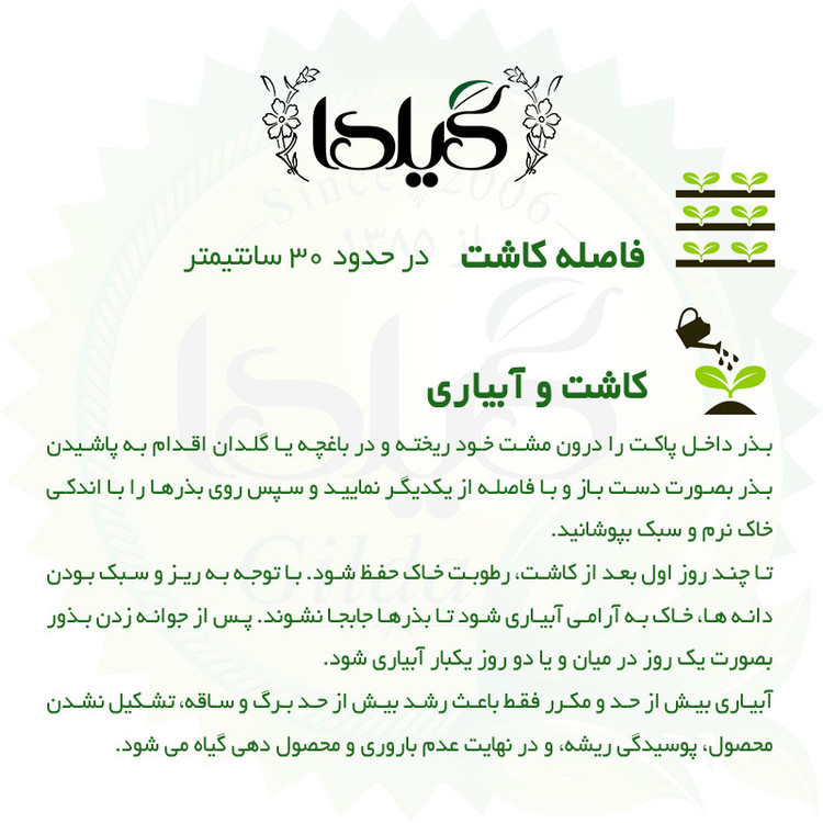 بذر اسطوخودوس گیلدا کد 173