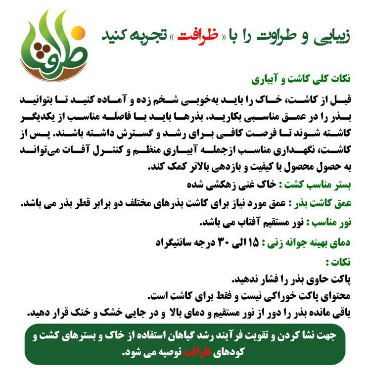 بذر یونجه ظرافت مدل BZ18227