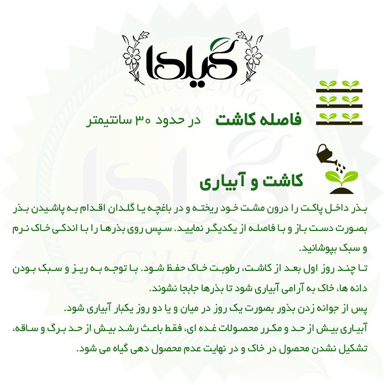 بذر چغندر قند گیلدا کد 432