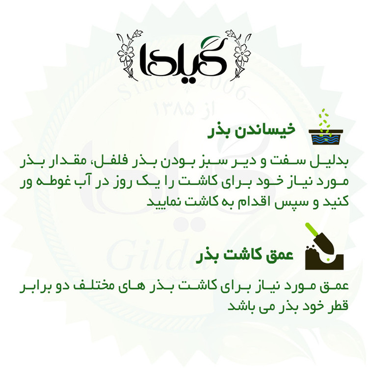 بذر فلفل دلمه میکس گیلدا کد 347