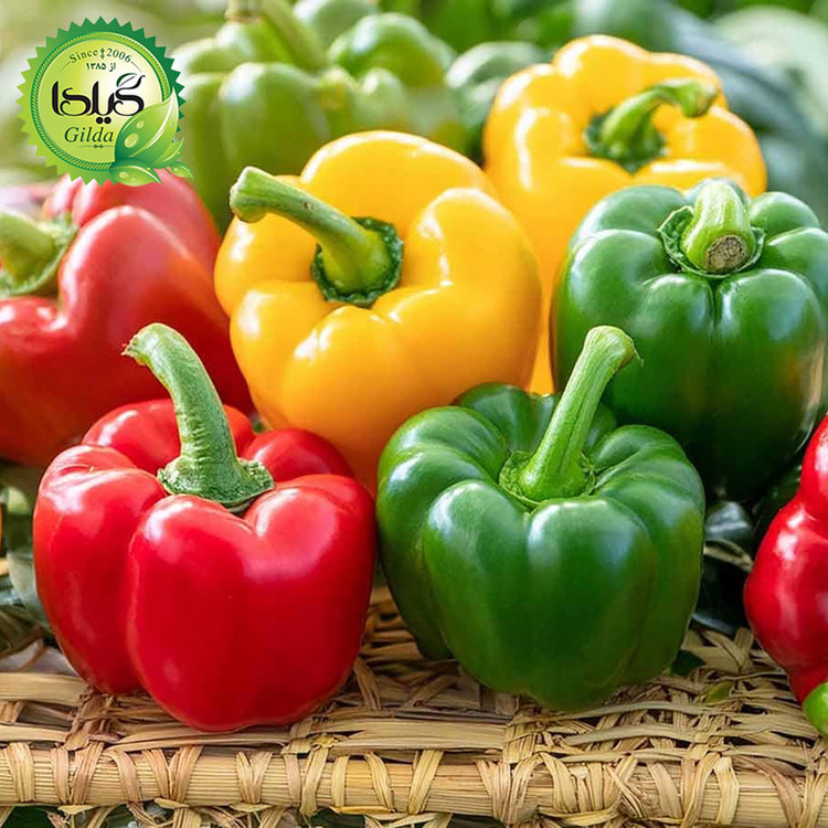 بذر فلفل دلمه میکس گیلدا کد 347