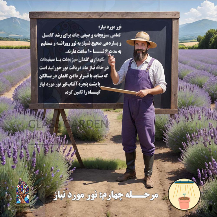 بذر کدو تنبل غول پیکر گلس گاردن مدل GL02