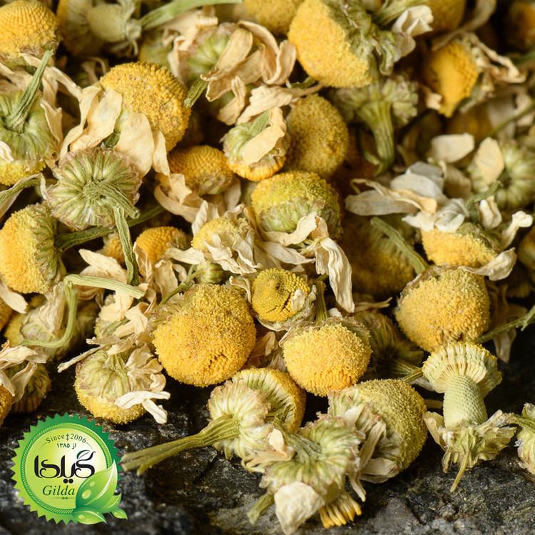 بذر بابونه شیرازی گیلدا کد 167