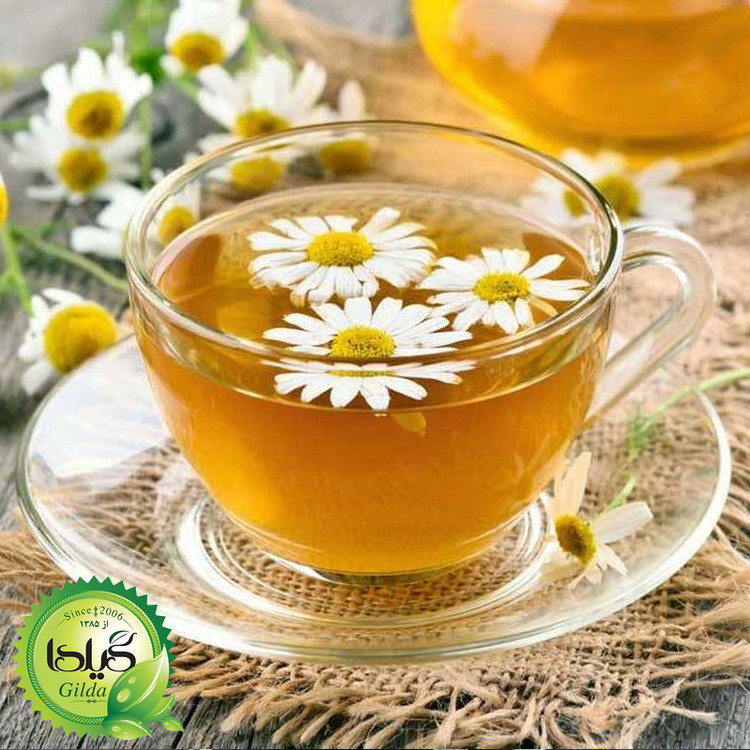 بذر بابونه شیرازی گیلدا کد 167