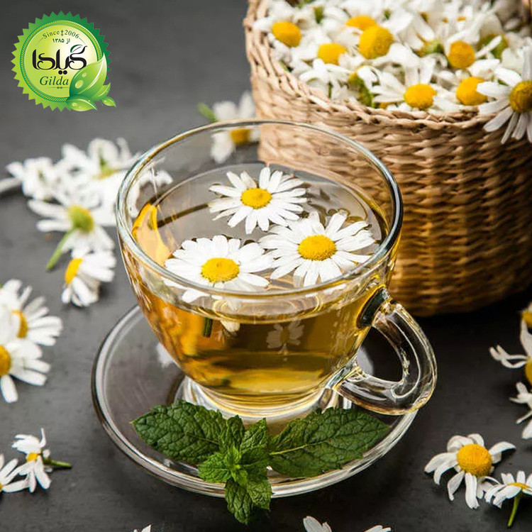 بذر بابونه شیرازی گیلدا کد 167