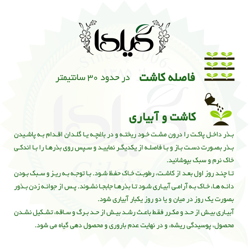 بذر چای ترش گیلدا کد 165