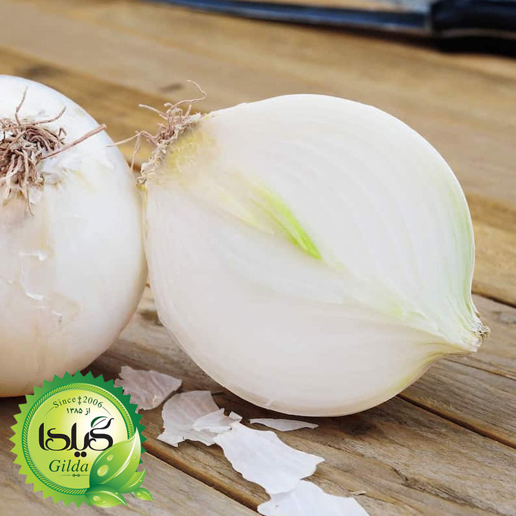 بذر پیاز سفید سینا گیلدا کد 410