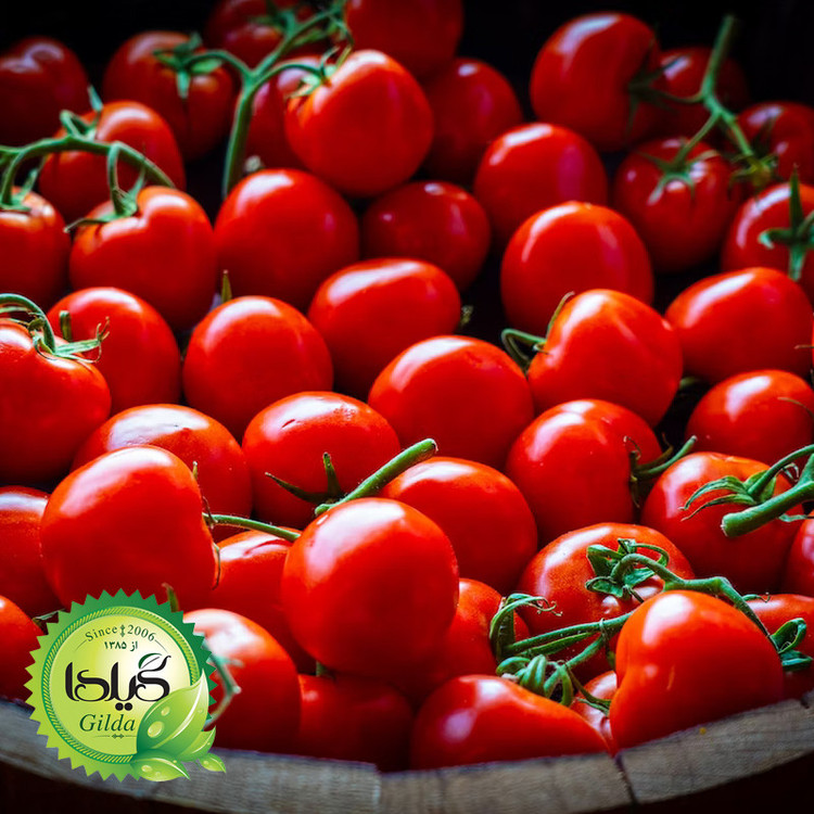بذر گوجه چری قرمز گیلدا کد 570