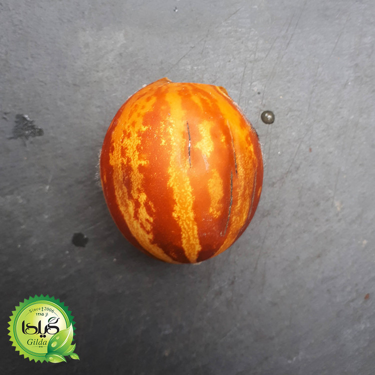 بذر دستنبو گیلدا کد 760