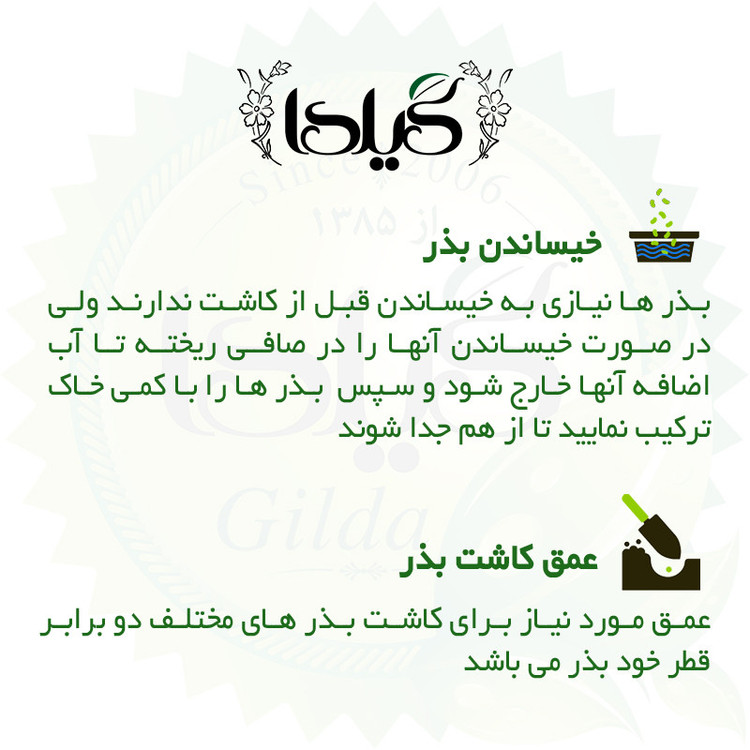 بذر ترپ قرمز کشیده گیلدا کد 216