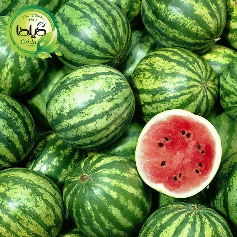 بذر هندوانه گیلدا کد 710