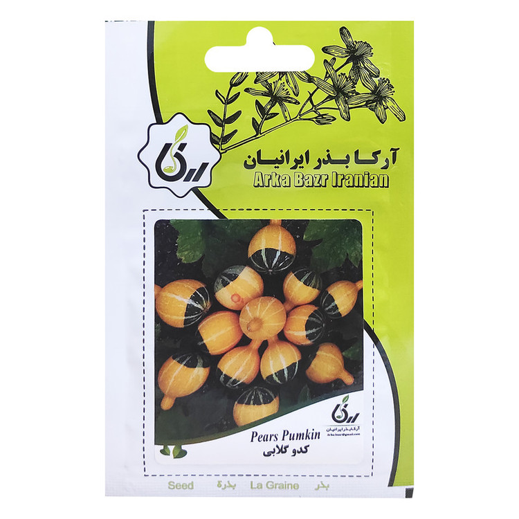 بذر کدو گلابی آرکا بذر ایرانیان کد ARK-169