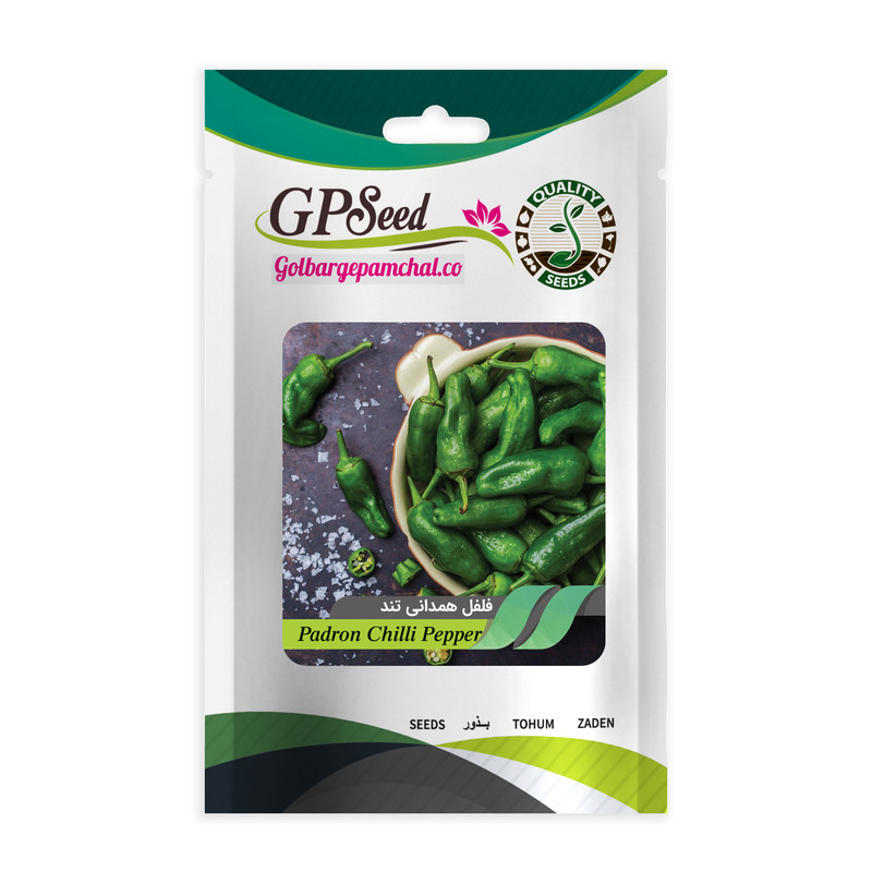 بذر فلفل همدانی تند گلبرگ پامچال کد GPF-325