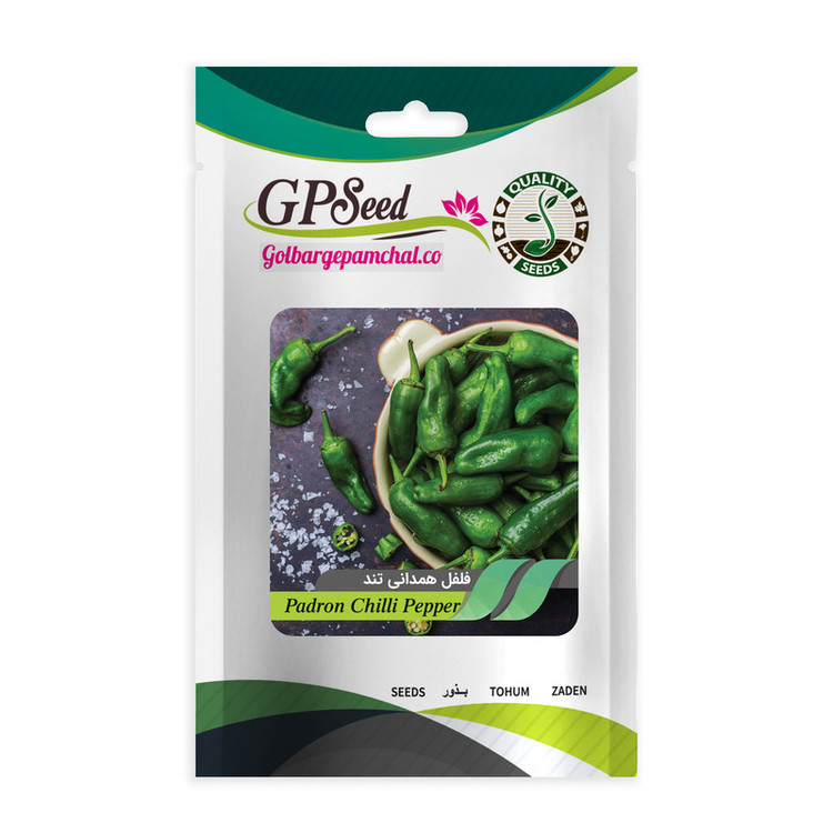 بذر فلفل همدانی تند گلبرگ پامچال کد GPF-325