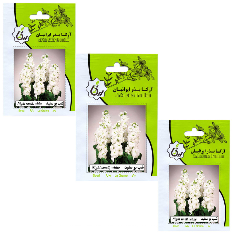 بذر گل شب بو سفید آرکا بذر ایرانیان کد 210 -ARK مجموعه 3 عددی