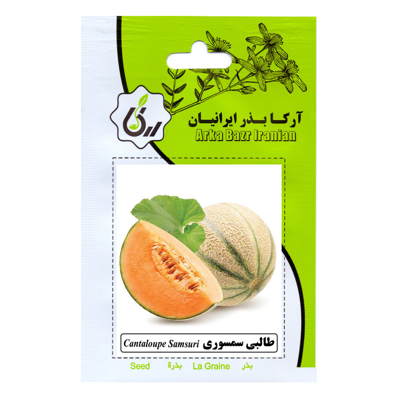 بذر طالبی سمسوری آرکا بذر ایرانیان کد ARK-176