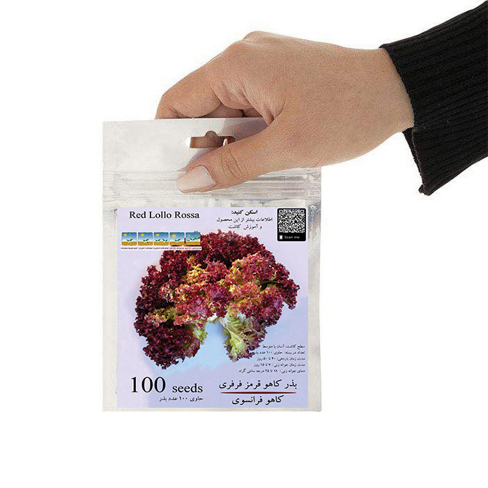 بذر کاهو قرمز فرفری مدل GL100