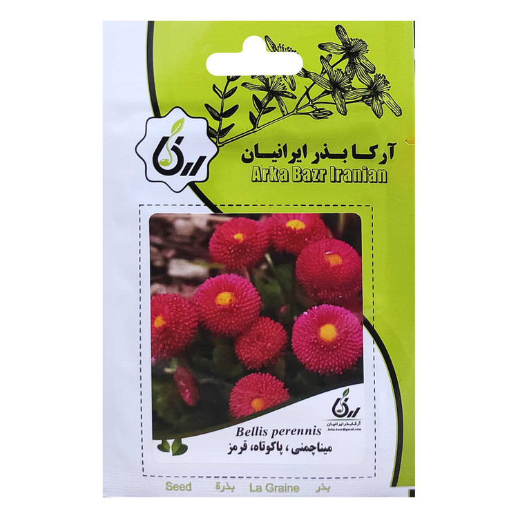 بذر گل مینا چمنی پاکوتاه قرمز آرکا بذر ایرانیان کد ARK-017