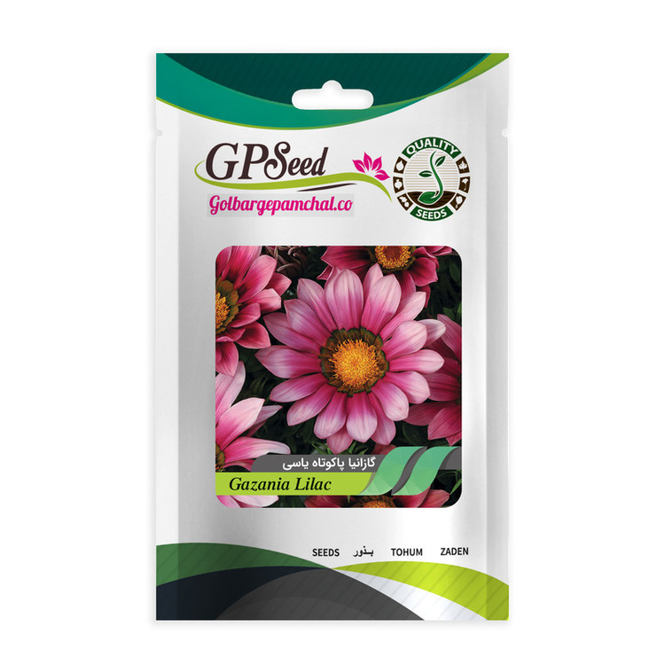 بذر گل گازانیا گلدانی گلبرگ پامچال کد G-P-GP-04 مجموعه 4 عددی