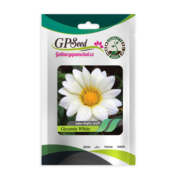 بذر گل گازانیا گلدانی گلبرگ پامچال کد G-P-GP-04 مجموعه 4 عددی